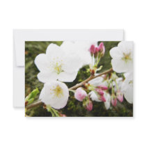 Pale Beauties Personalized Invitation