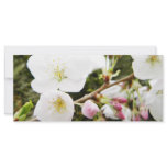Pale Beauties Rack Card