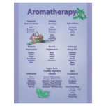 Pale Blue Aromatherapy Chart Flyer