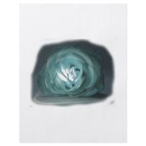 Pale Blue Rose Spolighted Cutout Personalised Flyer