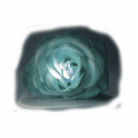 Pale Blue Rose Spolighted Cutout Acrylic Cut Out