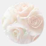 pale coral roses stickers