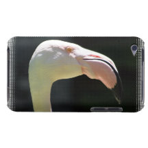 Pale Flamingos  iTouch Case Barely There iPod Case