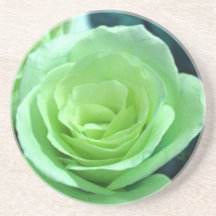 Pale Green Rose Coaster