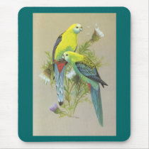 Pale-headed Rosella - Platycerus adscitus Mouse Mat