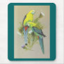 Pale-headed Rosella - Platycerus adscitus Mouse Mat