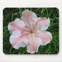 Pale Pink Azalea Mouse Pad