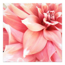 Pale Pink Dahlia Invitations