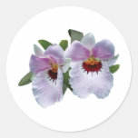 Pale Pink Orchids Round Stickers