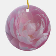 Pale Pink Peonies Peony Flower Floral Ornament