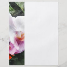 Pale Pink Phalaenopsis Orchids Personalised Flyer