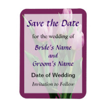 Pale Pink Tulips Save the Date Magnets