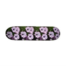 "Pale Purple Daisies" Skate Decks