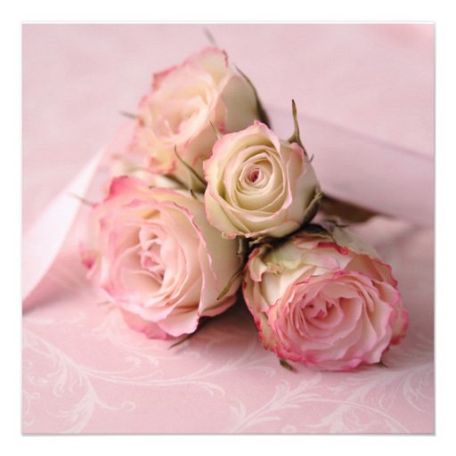 pale roses on pink swirls square invitation