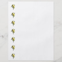 Pale Yellow Iris Personalized Flyer
