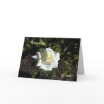 Pale Yellow Rose:  Thinking, of you Card