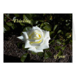 Pale Yellow Rose:  Thinking, of you Card