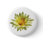 Pale Yellow Water Lily buttons