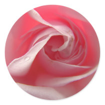 Palest Pink Sticker