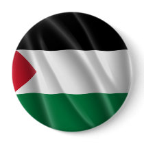 PALESTINE PIN