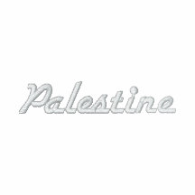 Palestine Embroidered Zip Hoodie