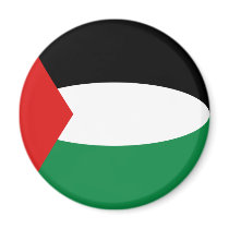 Palestine Fisheye Flag Magnet
