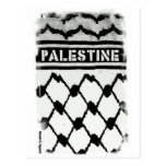 Palestine Keffiyah Post Cards