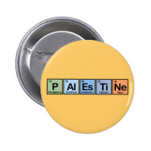 Palestine made of Elements Pins