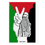 Palestine Victory Flag Postcards