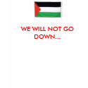 PalestineFlagBig08, WE WILL NOT GO DOWN... t-shirts