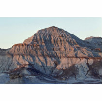 Palette Of The Artist Photo Cut Outs
