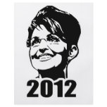 PALIN 2012 flyers