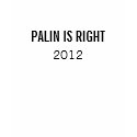 PALIN IS RIGHT, 2012 t-shirts