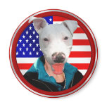 Palin Pit Bull 2012 magnet - Pitbull gear