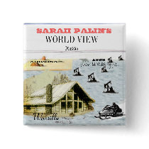 Palin World View Square Button