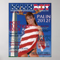 PALINBOY - Post Election Issue - Nov. 2008 Poster posters
