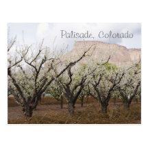 Palisade, Colorado Postcards