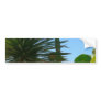 Palm And Cactus Bumper Stickers