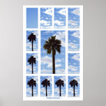 Palm Avenue - Progressive posters