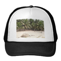 Palm Beach Front Hats