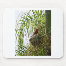 Palm Cardinal Mouse Mats