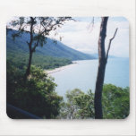 Palm Cove mousepads