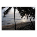 palm_dark__sea,                        ... cards