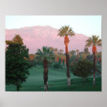 Palm Desert Poster