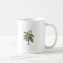 Palm drawings Collection Coffee Mug