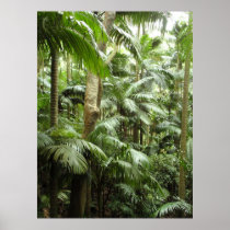 Palm Forest Poster