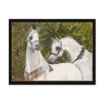 Palm Grove Arabian horse postcard