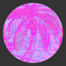 Palm Hues stickers