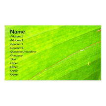 PALM LEAF 1618 LIGHT NEON GREEN NATURE VEGETATION BUSINESS CARDS