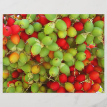 palm nuts green and red. flyer design
